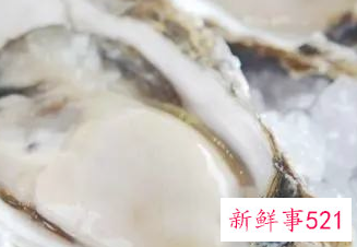 一箱生蚝怎样保存时间长