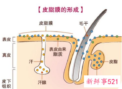 怎么判断皮肤水油平衡
