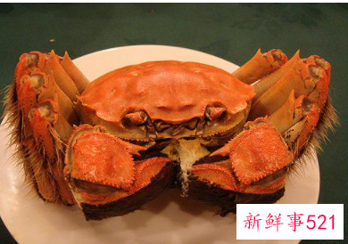 吃大闸蟹的注意事项