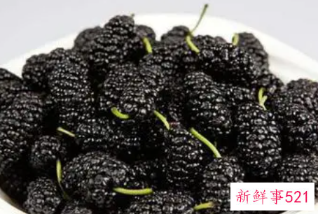 抗癌水果第一名桑葚
