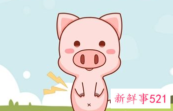 属猪的什么颜色最旺最吉利2022年