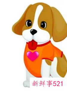 属狗人命中注定的另一半是谁