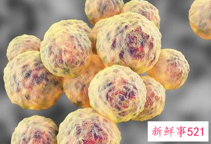 海边最危险的东西是什么