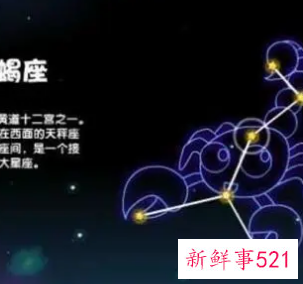 天蝎座财运什么时候好