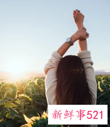 适合胖圆脸的发型