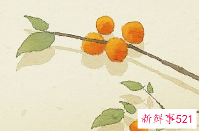 孕妇梦见黄桔子生男生女