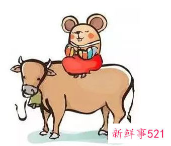 最易起摩擦的生肖配对