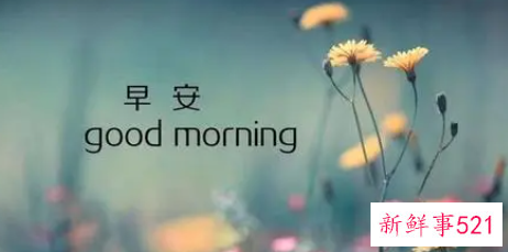 女生主动说早安什么意思