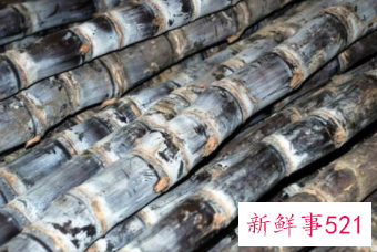 吃甘蔗有什么好处甘蔗吃多了会怎样