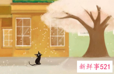 什么样的人容易被人欺负