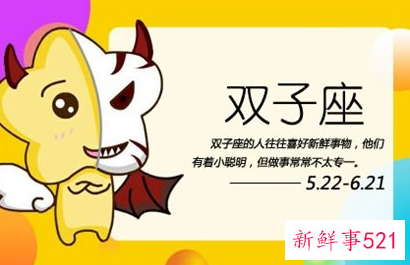 双子座适合养猫吗