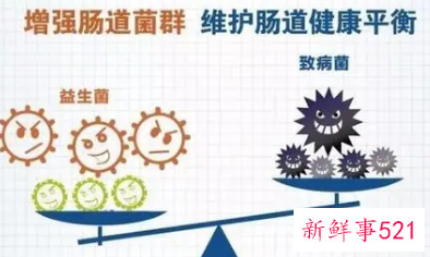 益生菌的主治功能