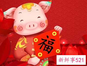 属猪人的永久幸运颜色