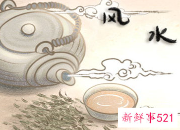 阳台上来鸟是什么兆头