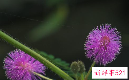 被别人骂了心里难受该怎么办