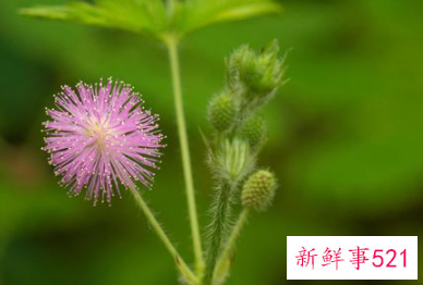 被别人骂了心里难受该怎么办