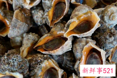 海螺放保鲜能放多久