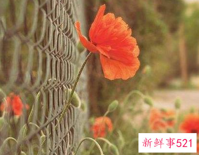 一个女人心大真的好吗