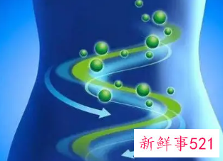 益生菌的主治功能