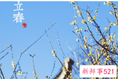 立春的经典语录