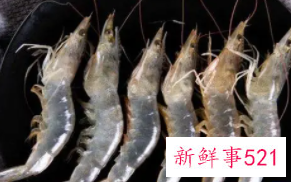 梦见抓了好多虾是什么意思