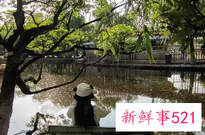 大将之风的男孩名字