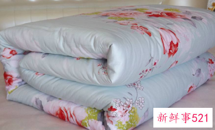 被子分为哪些种类