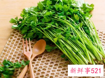 芫荽指的是哪种蔬菜