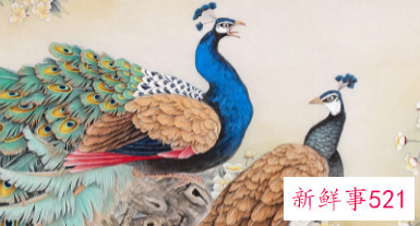 两只孔雀的画是什么意思