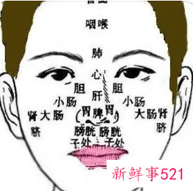 面部与身体器官对应图