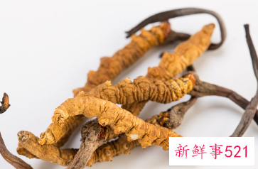 草乌的功效与作用