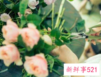 女人的高端兴趣爱好