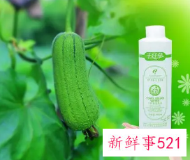 丝瓜水的功效与作用有哪些