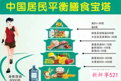 营养与膳食基本知识