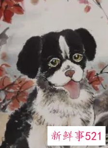 属狗人命中注定的另一半是谁