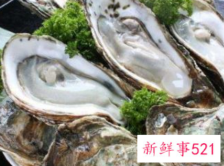 一箱生蚝怎样保存时间长