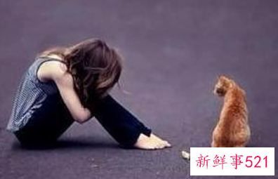 什么样的人容易被人欺负