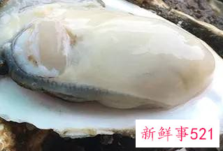 一箱生蚝怎样保存时间长