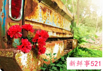 团队打气的霸气句子