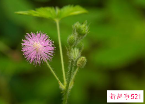 被别人骂了心里难受该怎么办