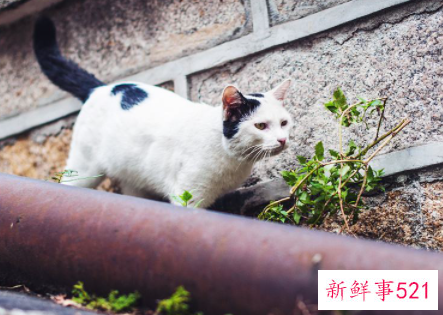 如何让老公重新爱上我