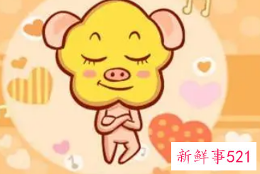 属猪人的永久幸运颜色