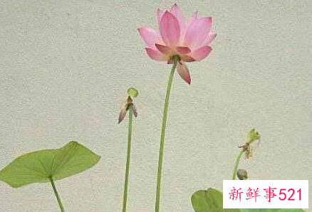 一个女人心大真的好吗