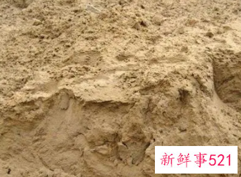 梦见好多沙土是什么意思