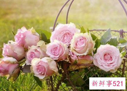 梦见花被盗什么意思