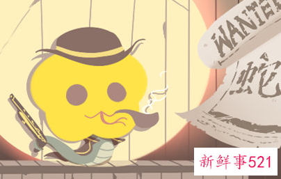 属蛇的房间适合什么颜色