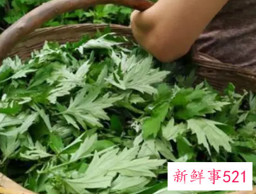 艾草泡脚有什么好处