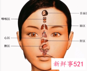 面部与身体器官对应图