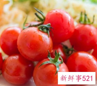 圣女果是转基因食品吗本文为您解惑