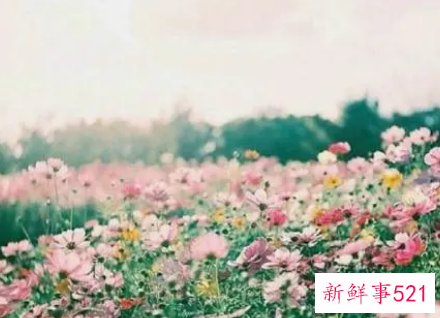 最能撩动女生的情话